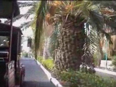 Minitren Dunas Jandía Resort Fuerteventura Canary Islands