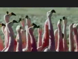 The Secret - PCO Will Finish Stong with the SensaSecret Gold