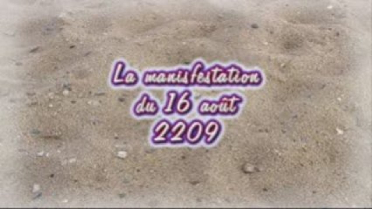 Manifestation du 16 août 2009 contre le port de Brétignolles