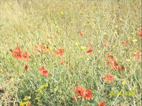 SİVAS - ULAŞ - GÜNEŞLİ KÖYÜ