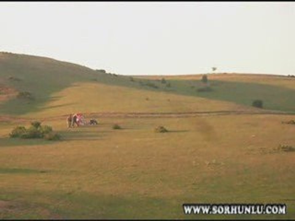 Yaylada Paraşüt Şov