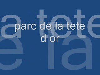 petite ballade au parc de la tete d or