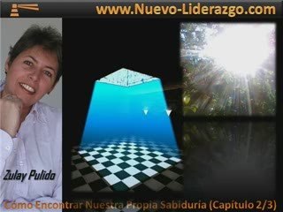 Liderazgo: Cómo Encontrar Nuestra Propia Sabiduría ...