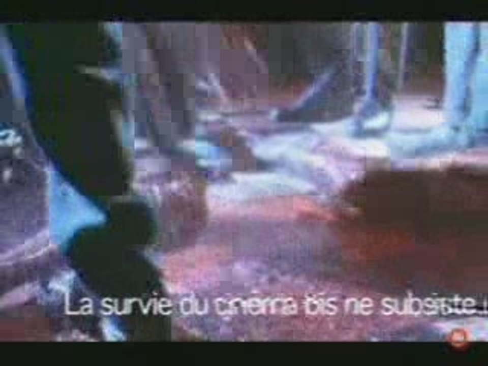 Absurde Reportage partie 5 sur 5