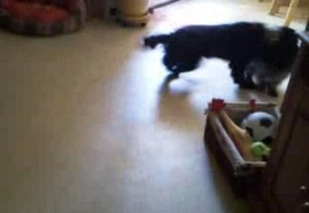 cookie et salem jeux1