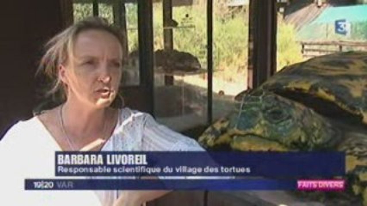 JT France3 Var – Mercredi 19 Aout 2009