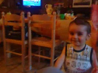 Sacha et la guerre contre les mouches