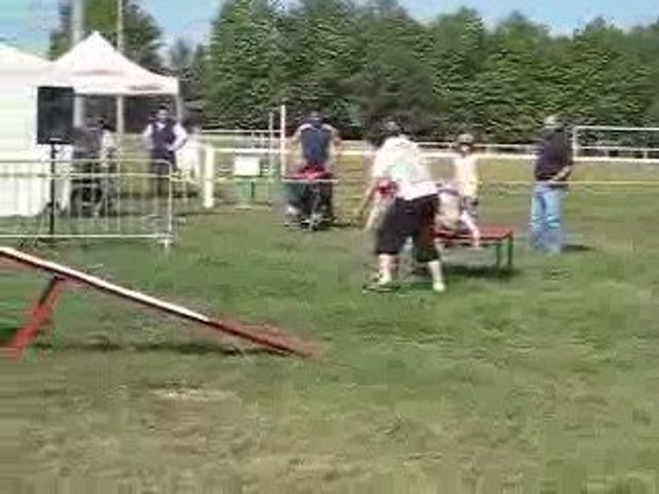 nouans, Lulu et Gibson, 1er degré