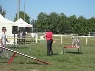 nouans, Béné et Coco, 1er degré