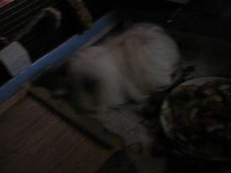 Charlie