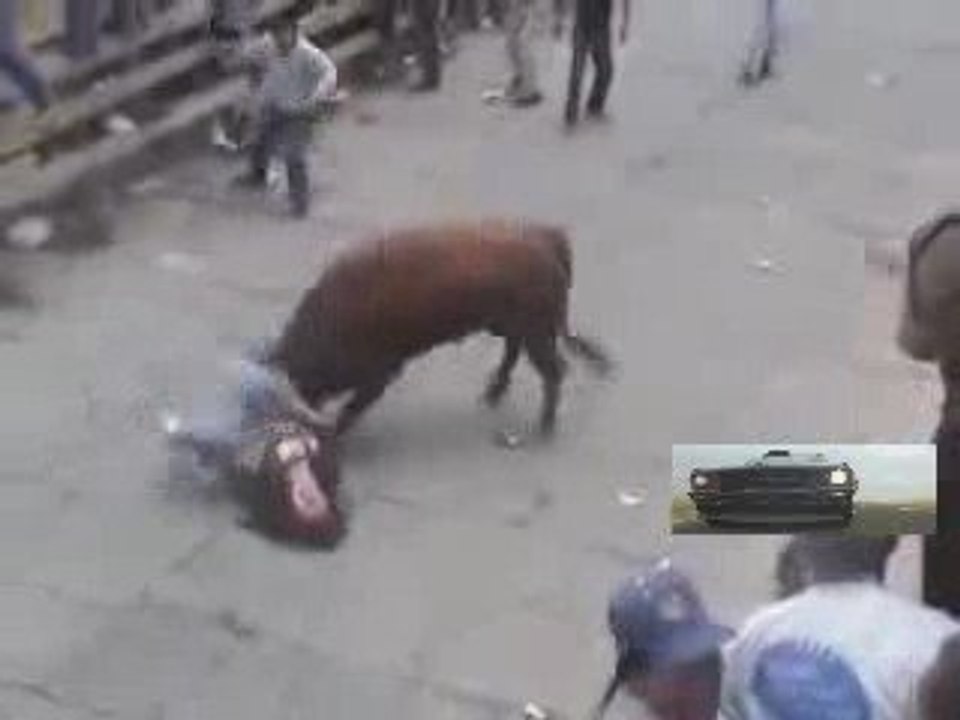 Toro nero...ragazza out!