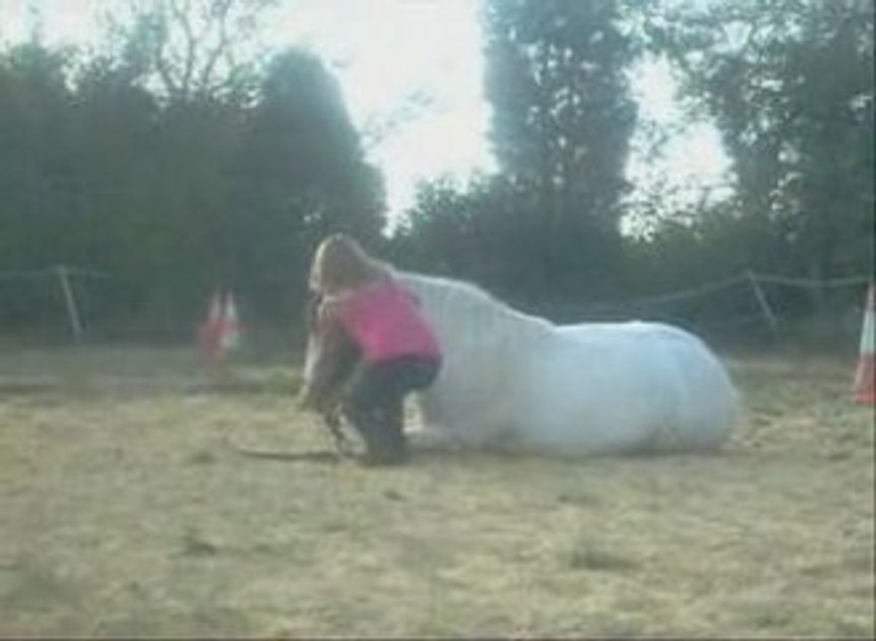 Kaiser, le couché demandé sur son dos