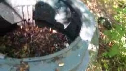 19.8.2009 KOMPOSTÖR=ORGANIK GUBRE 002