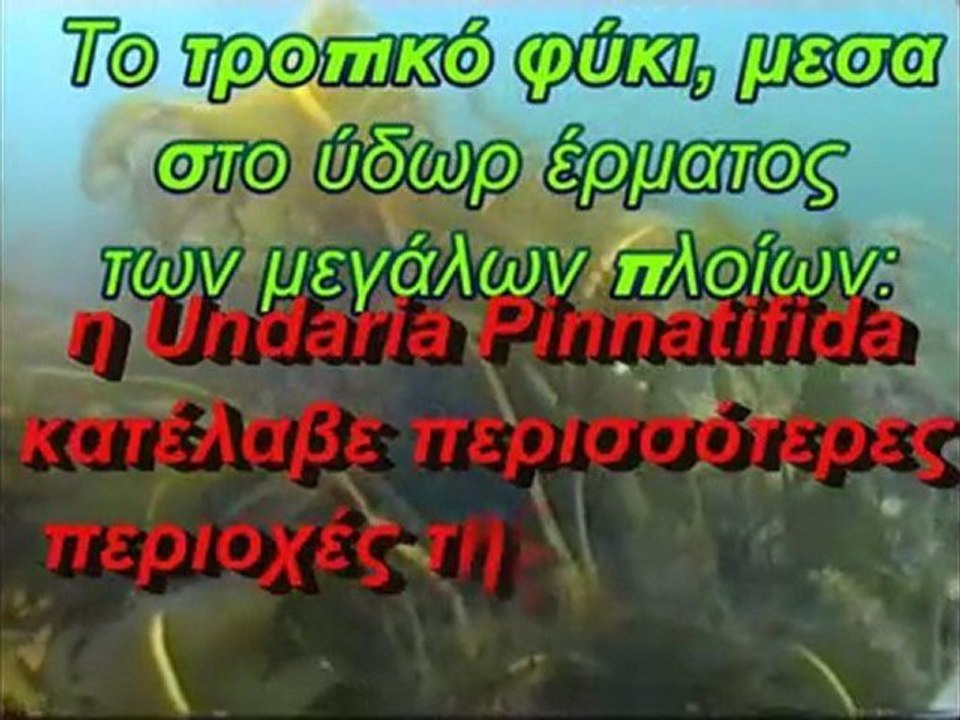 Θαλάσσιοι Εισβολείς (2) LionFish & Undaria Pinnatifida (GR)