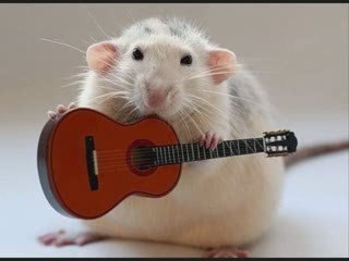 Mercury Blues; Alan Jackson (sung by A Band Named Sioux)