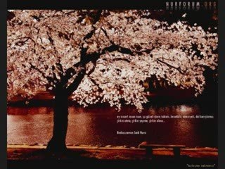 Bu dünyaya Hakkı bulmaya geldik