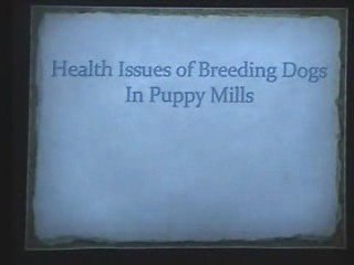 Puppy Mills