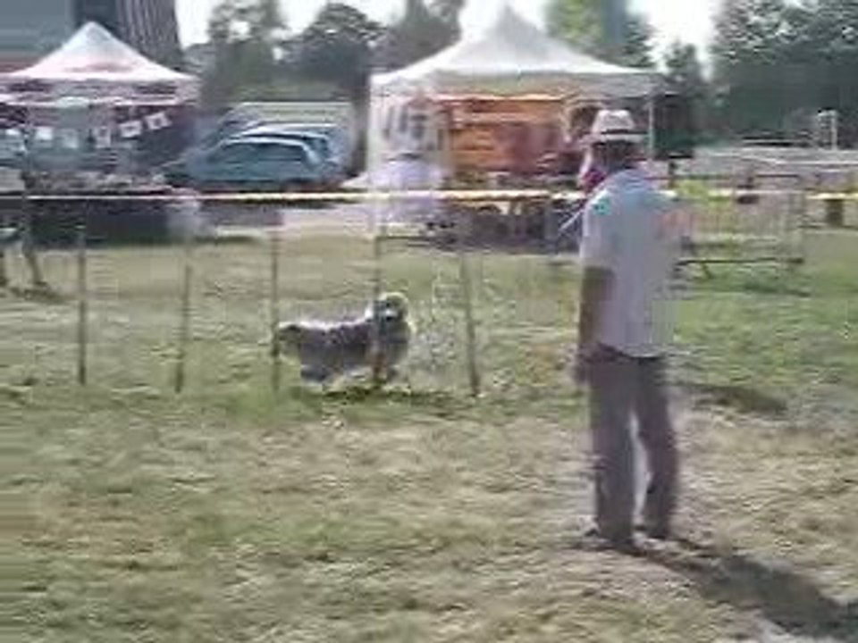 nouans, Coco et Béné, jumping