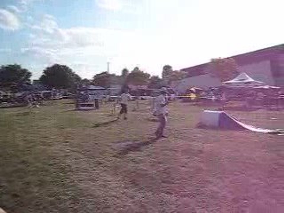 nouans, Lulu et Gibson, jumping