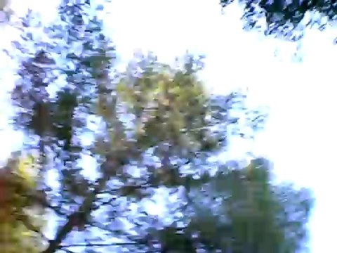 galop en balade , délire