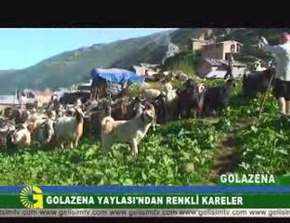 GOLAZENA YAYLASI