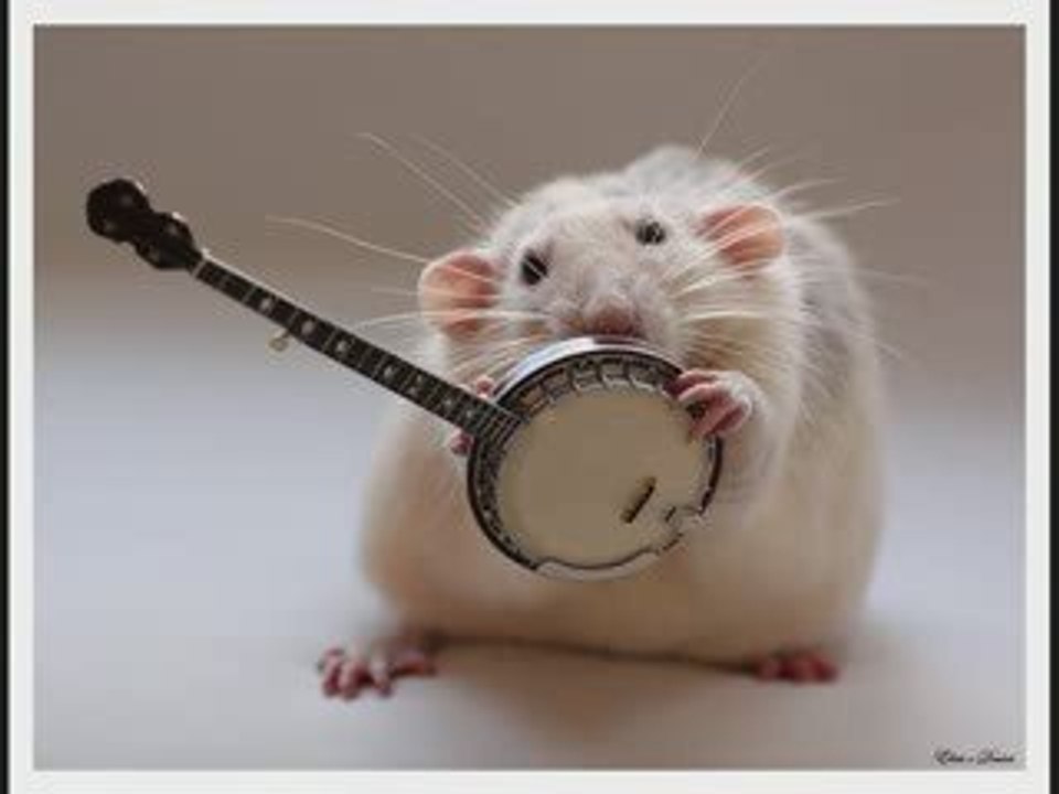 Move your Funk!!!