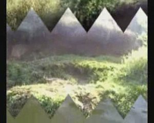 Vacances a la baignade et au ninja