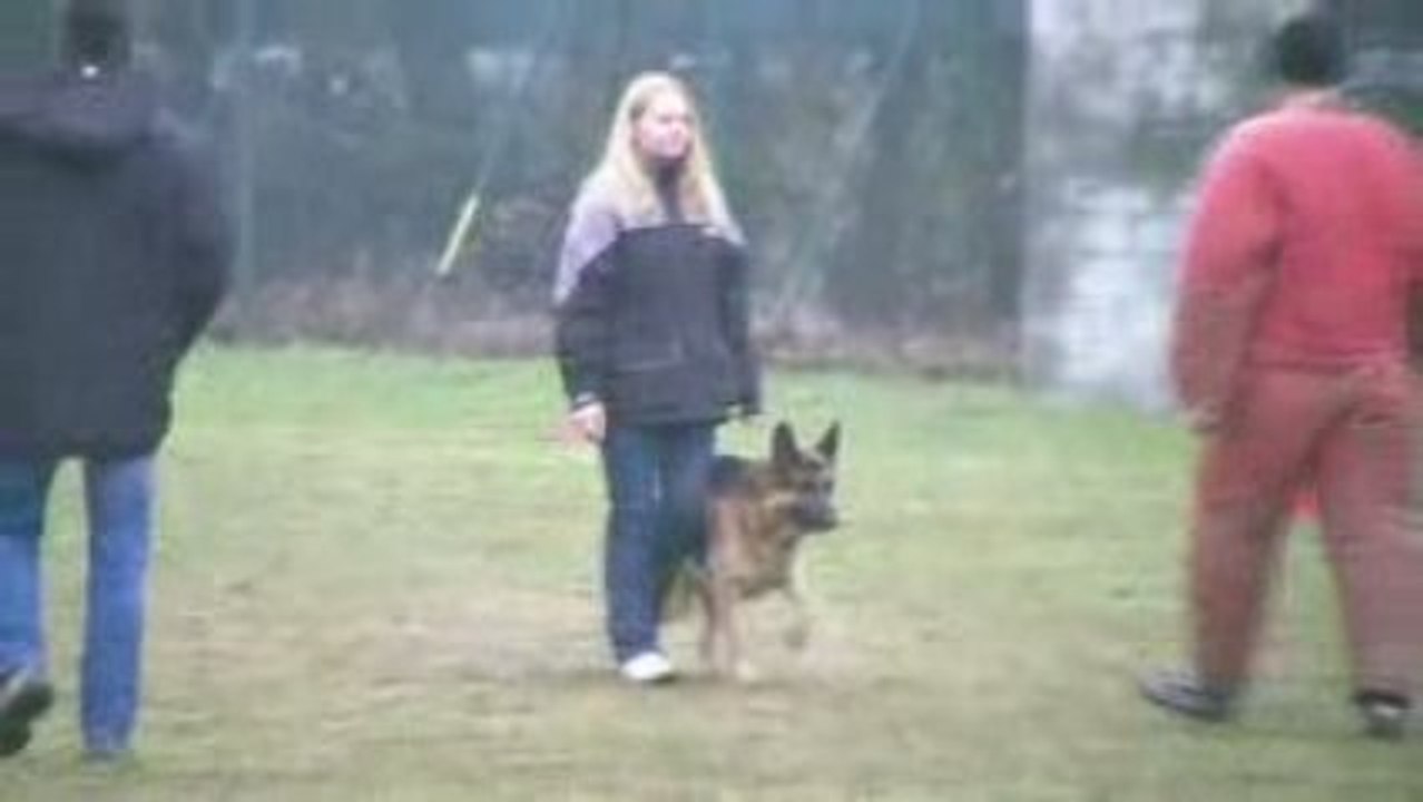 Ascott brevet Illzach 22.02.2009