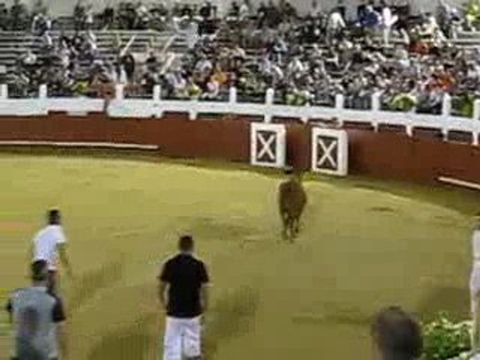 The stars are born in the arena...