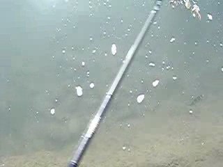 nage du kong 128s (leurre de peche)