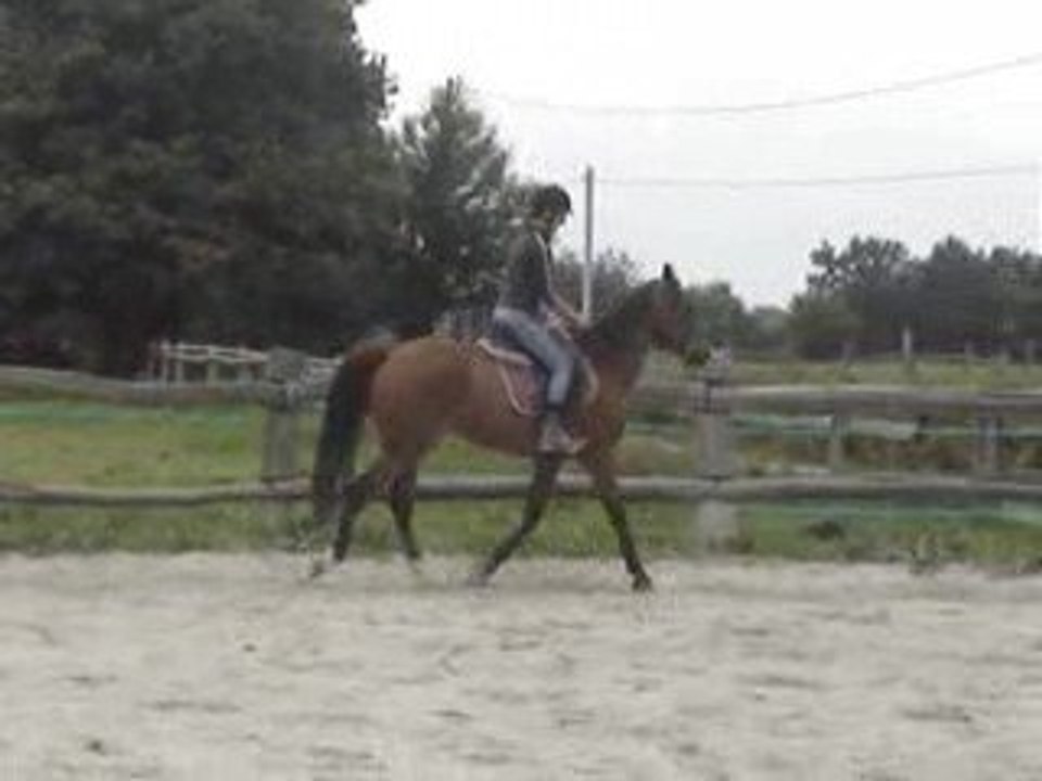 MOV01244