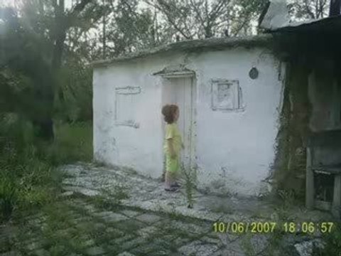 Zile klip ( zileweb.com)