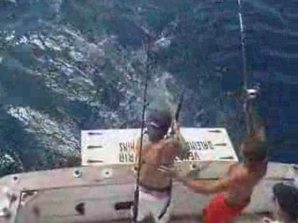 Pêche aux gros - Le combat