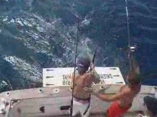 Pêche aux gros - Le combat