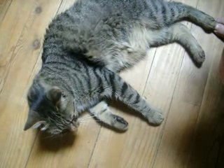 tendresse tricote aout 09