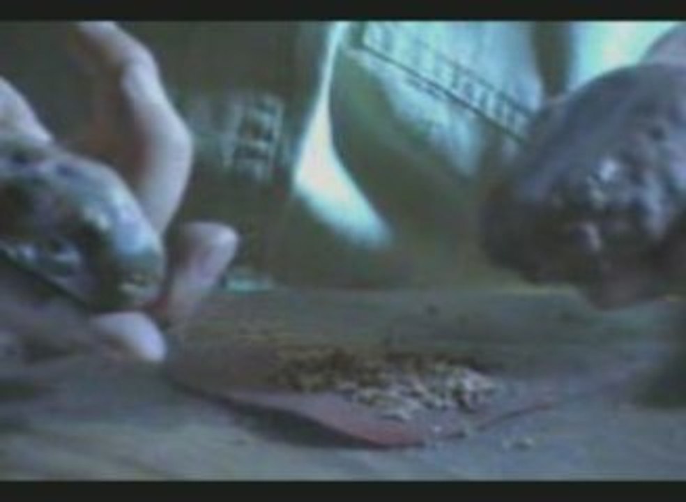 "Faire du Feu comme nos ancêtres" - La marcassite (1/3)