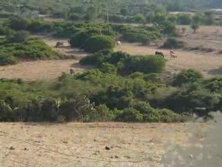 Sardaigne 2009 - suite