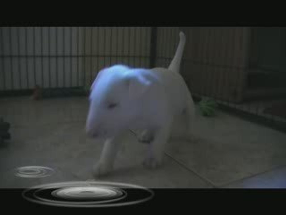 20090820_eon_25j