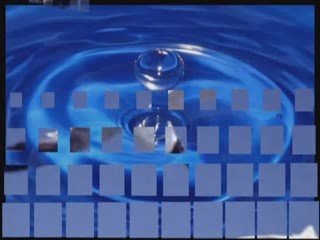 TSA, Idąc cmentarną aleją