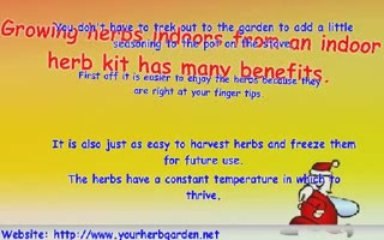 Herb Garden Kits