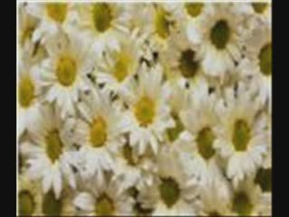 CANKAN-HANİ NERDE(BY EMRE KAYGISIZ)