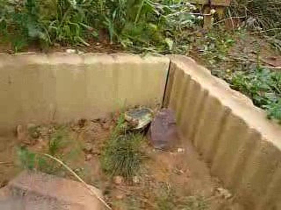 tentative de fuite manquée