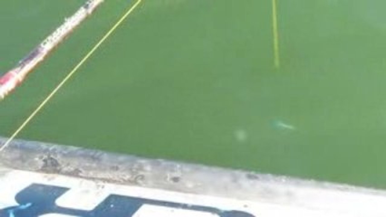 20.8.2009 T.LEVREK AVIM & CESITLI FOTOLAR 004