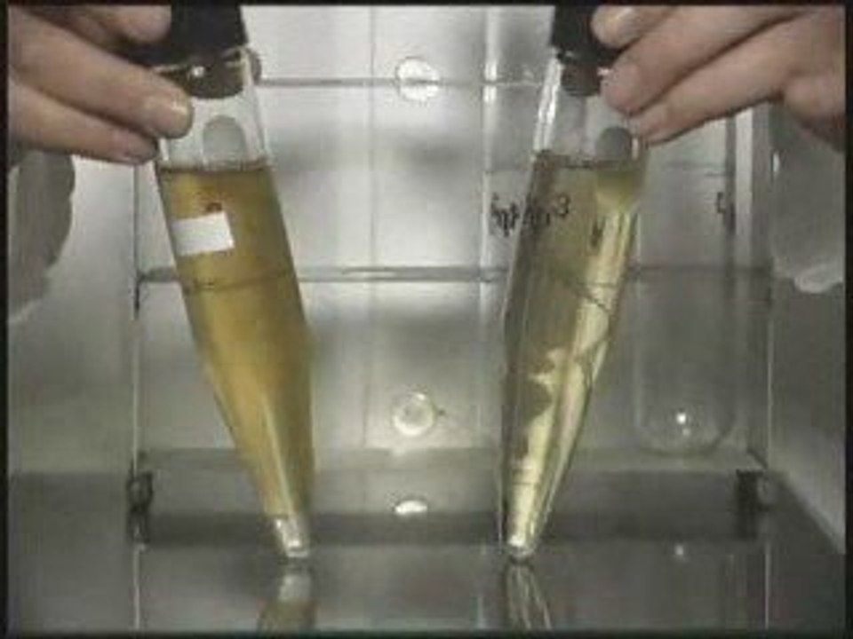 XP3 Fuel Enhancer  XP3 Gas  Additive  XP3 Fuel Stabilizer