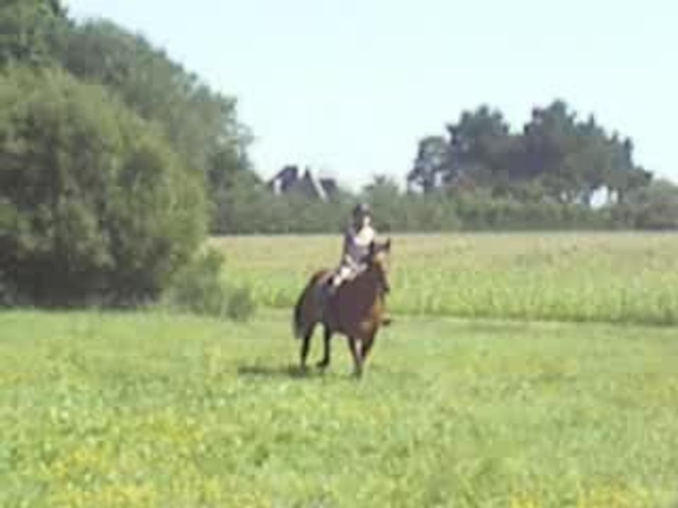 Galop tranquil dans un champ avec Gip.