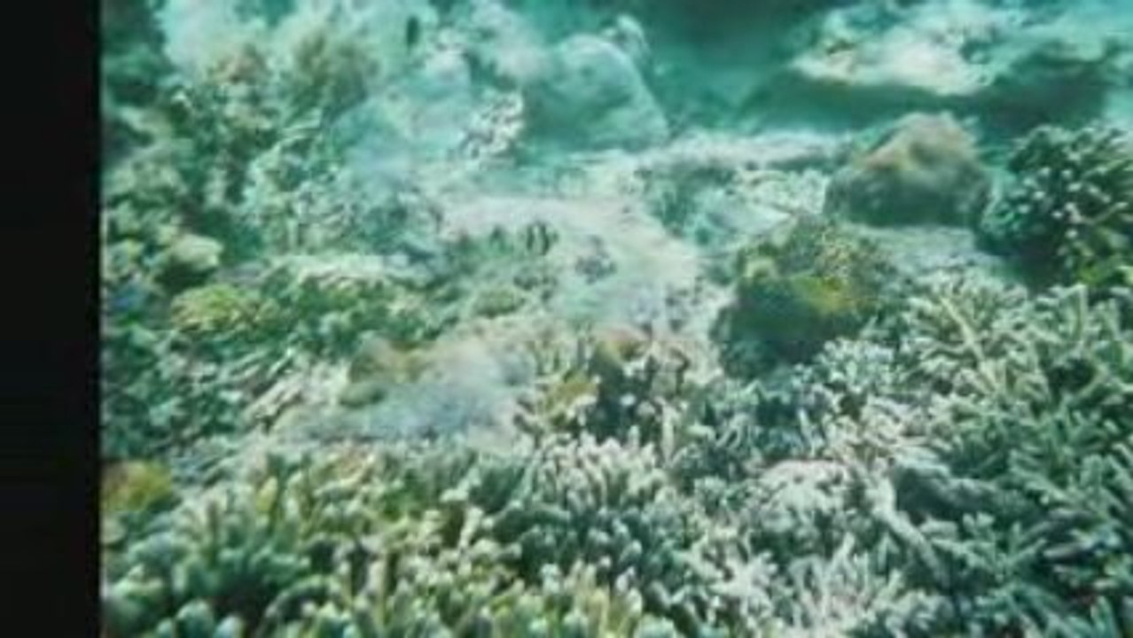 On the Sea