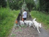 BALADE DANS LES VOSGES JUILLET 2009 .