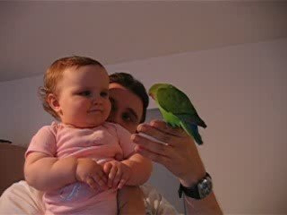 Solene fait disparaitre kiwi