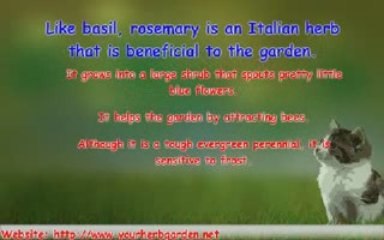 Italian Herb Garden