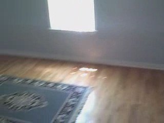 House for Sale, Tons of Equity, University Heights, Ohio